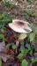 20191204_101819